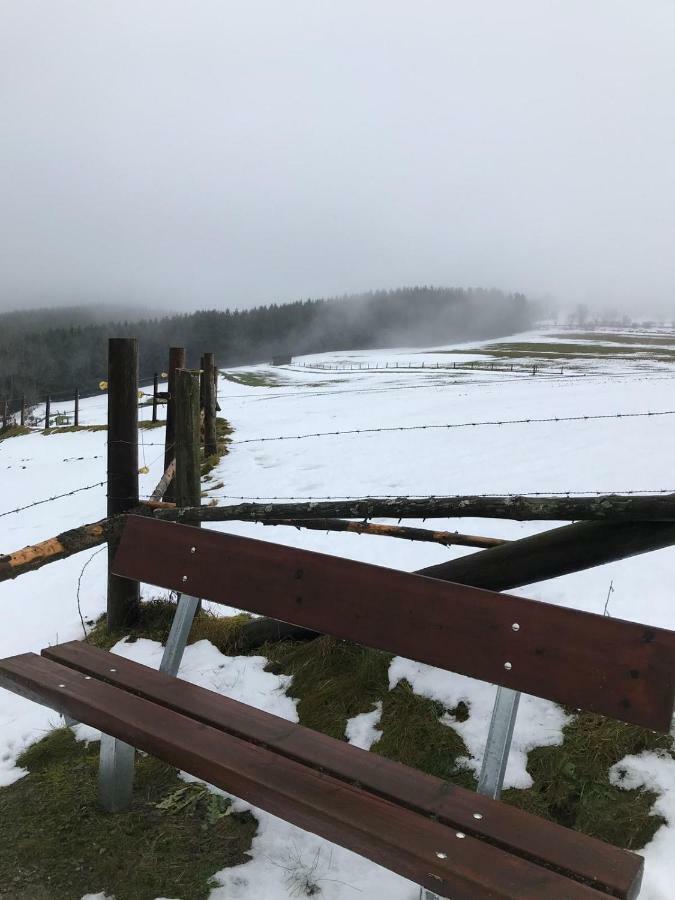 Ferienhaus Schneeweiss Winterberg Exterior foto