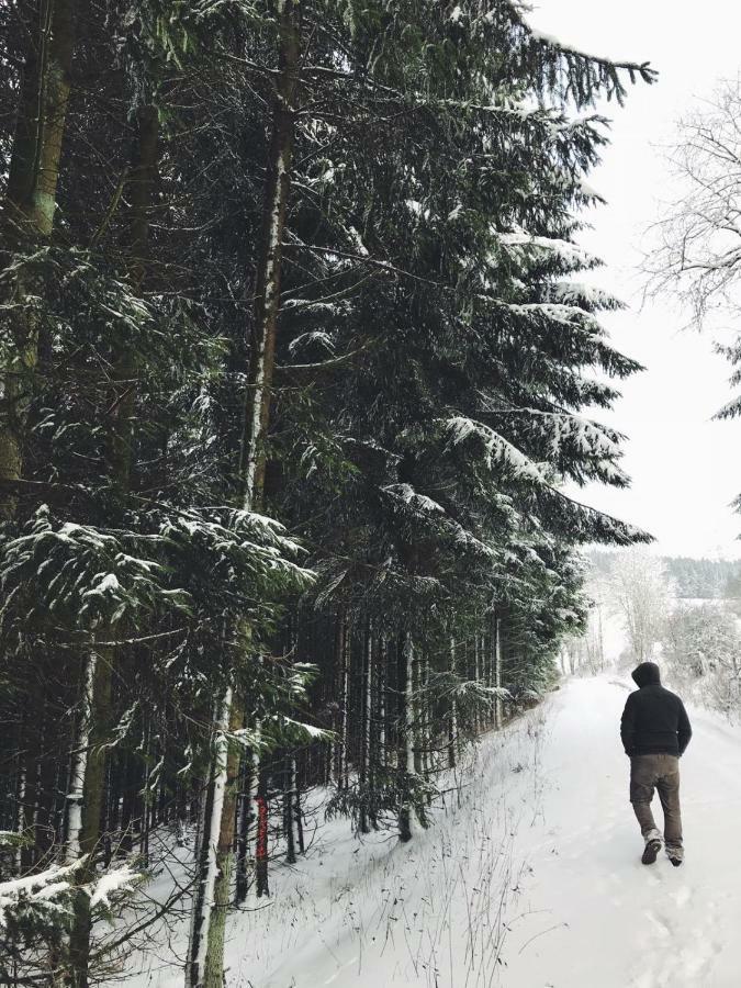 Ferienhaus Schneeweiss Winterberg Exterior foto